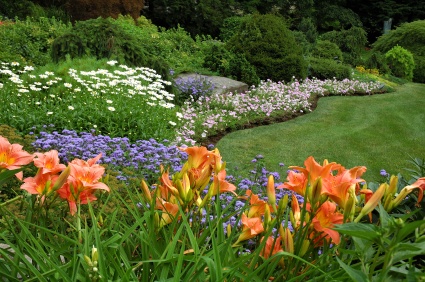 flower_bed_566