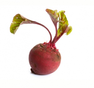 beet_361