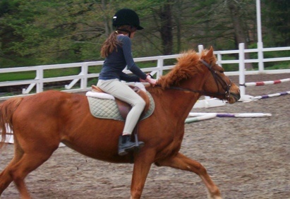 horseback_riding_2318