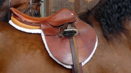 saddle_1403