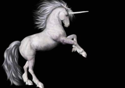 unicorn_2548