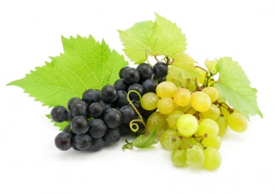 grapes_2925