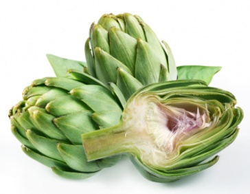 artichoke_355