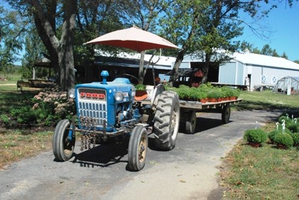 tractor_and_trailer_3151