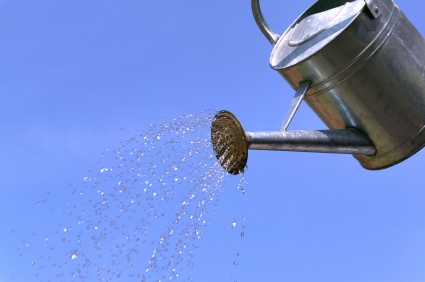 watering_can_581