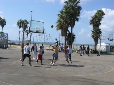 basketball_court_2382