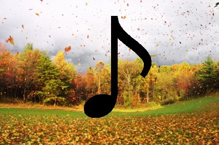 Nature and Storms sounds